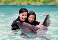 Resorts World Sentosa Marine Life Park
