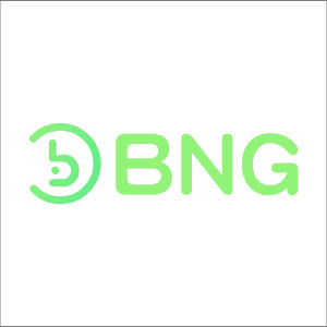 BNG Provider