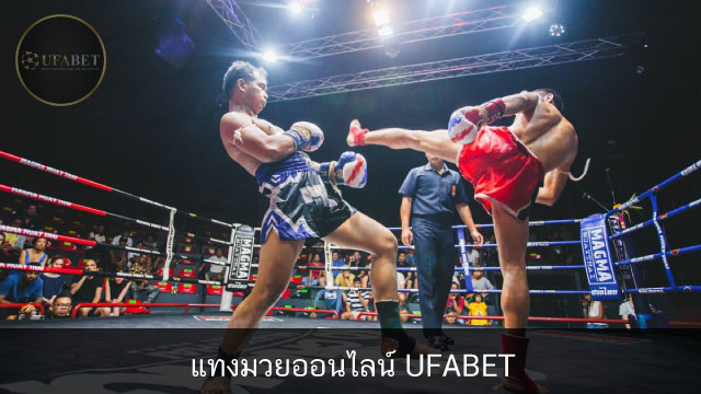 Ufabet Boxing