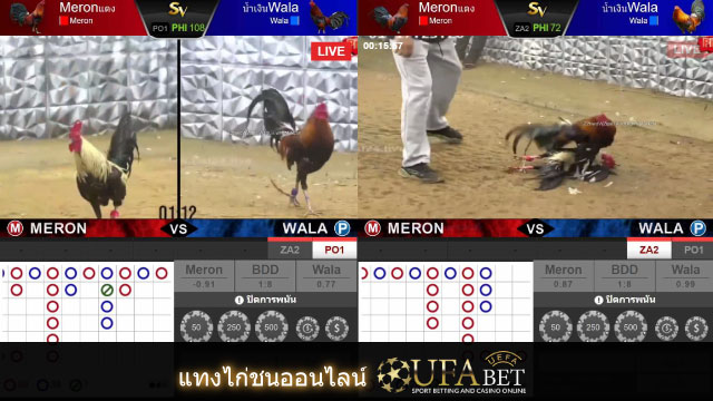 Ufabet Cockfighting Betting