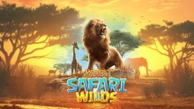 Safari Wilds PG