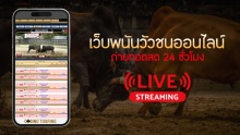 Ufa Bullfight Online 