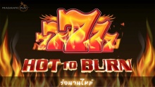 Hot to Burn PP
