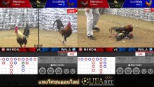 Ufabet Cockfighting Betting