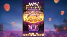 Wild Fireworks PG