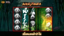 Wild Panda RSG